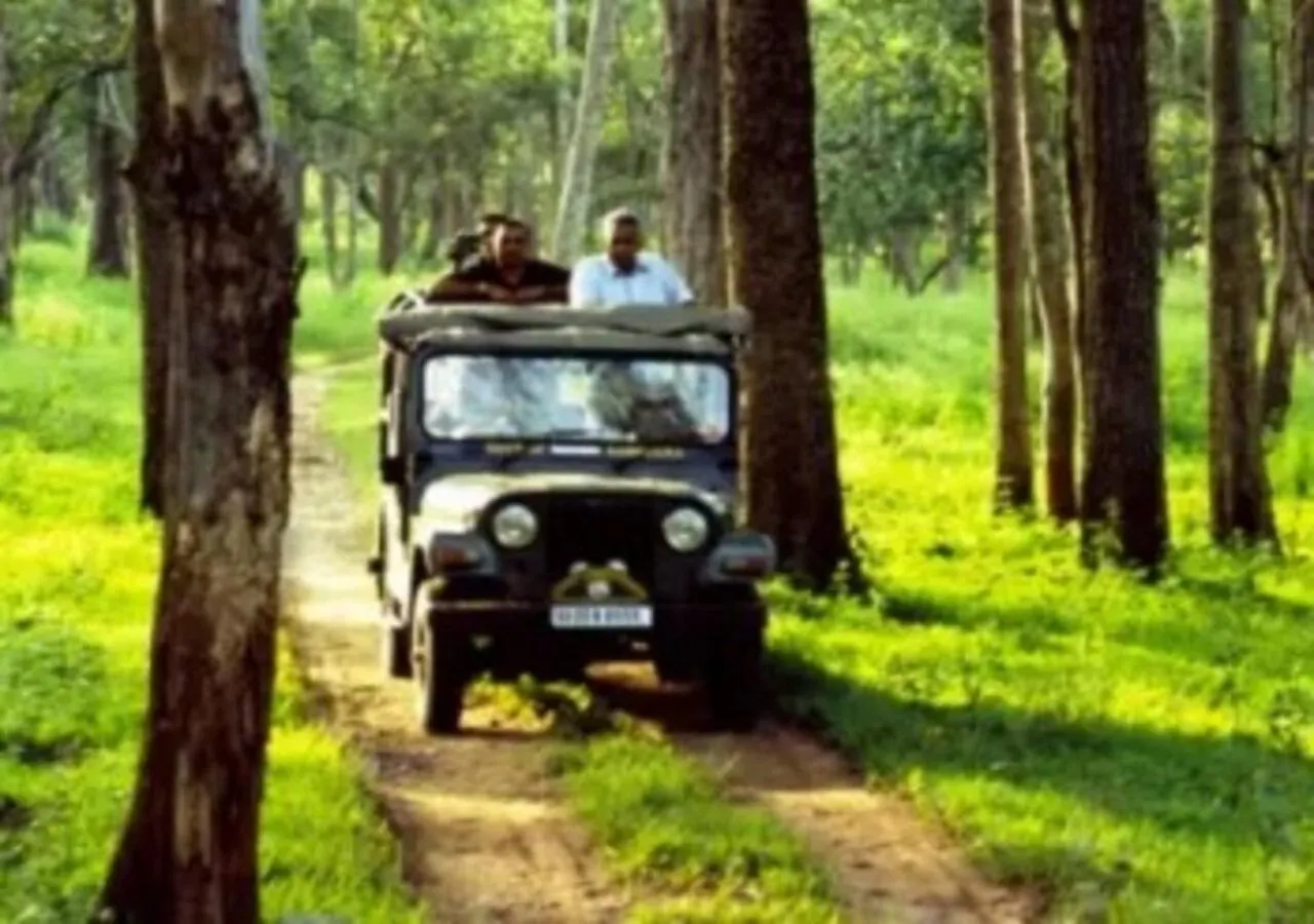 Lodge The Jungle Home - Aishwarya Homestay India